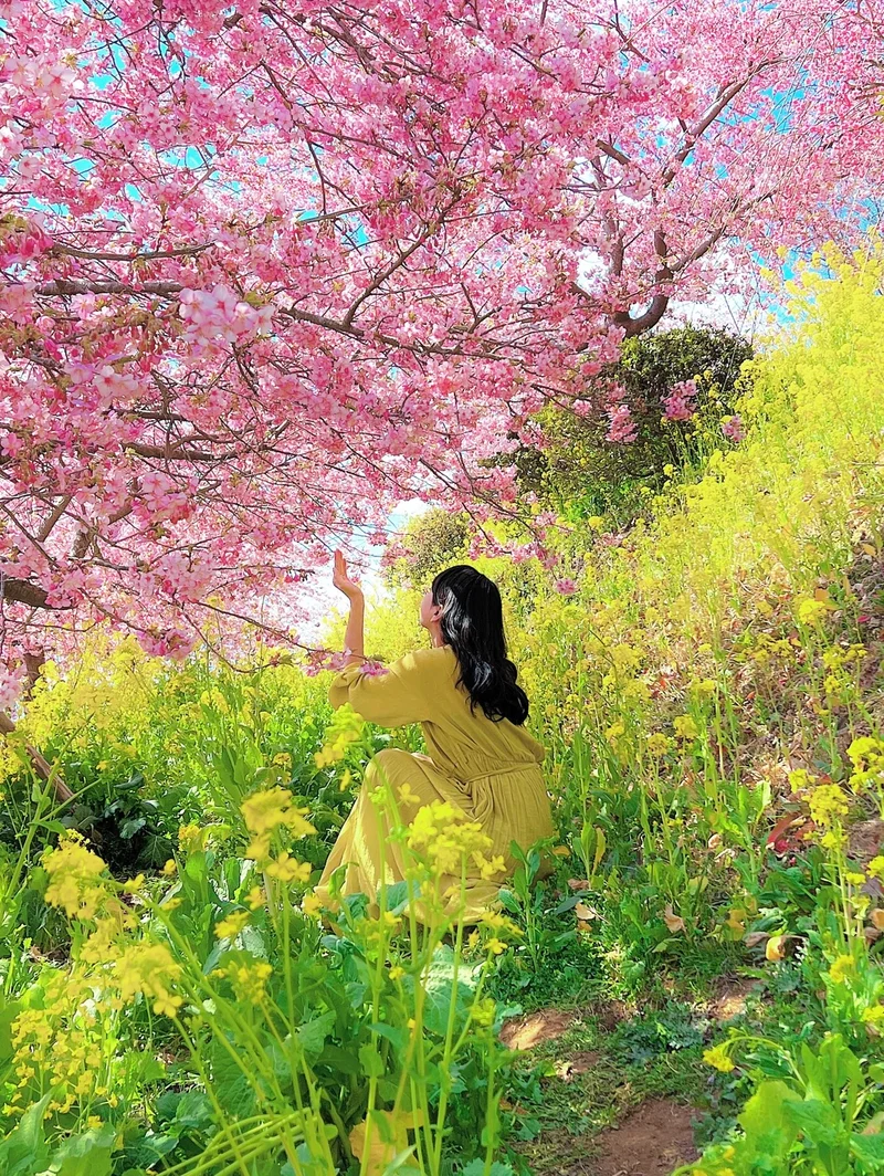 【すでに春満開】いま行きたい八重桜、梅、の画像_5