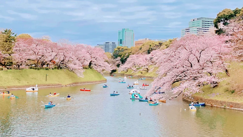 【飯田橋CANAL CAFE お花見完全の画像_1