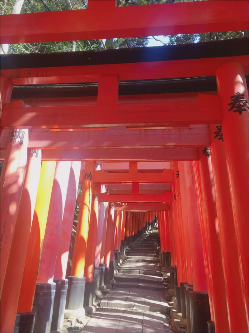 京都女子旅特集《2019年版》- 旅するの画像_33