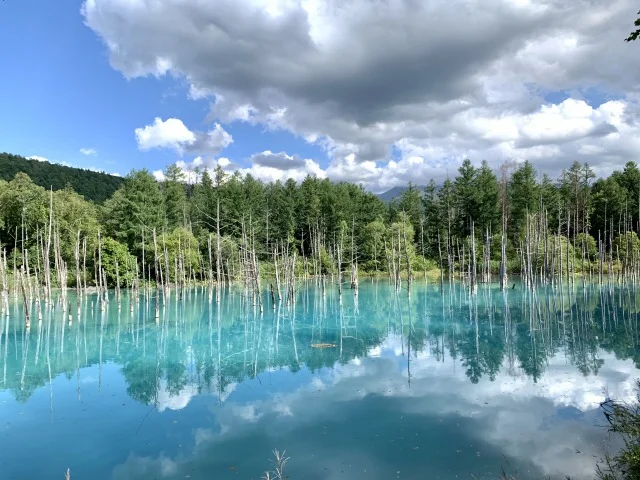【女子旅におすすめ】北海道の美瑛にある『青い池』が綺麗すぎる♪一度は見たい絶景スポット