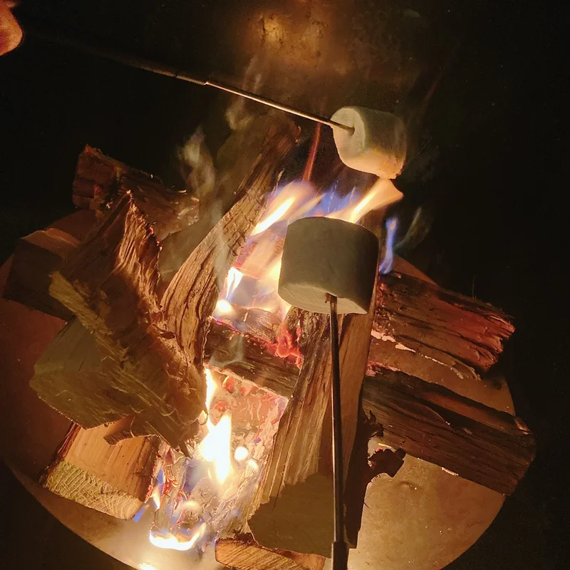 キャンプ飯でマシュマロを焼いている