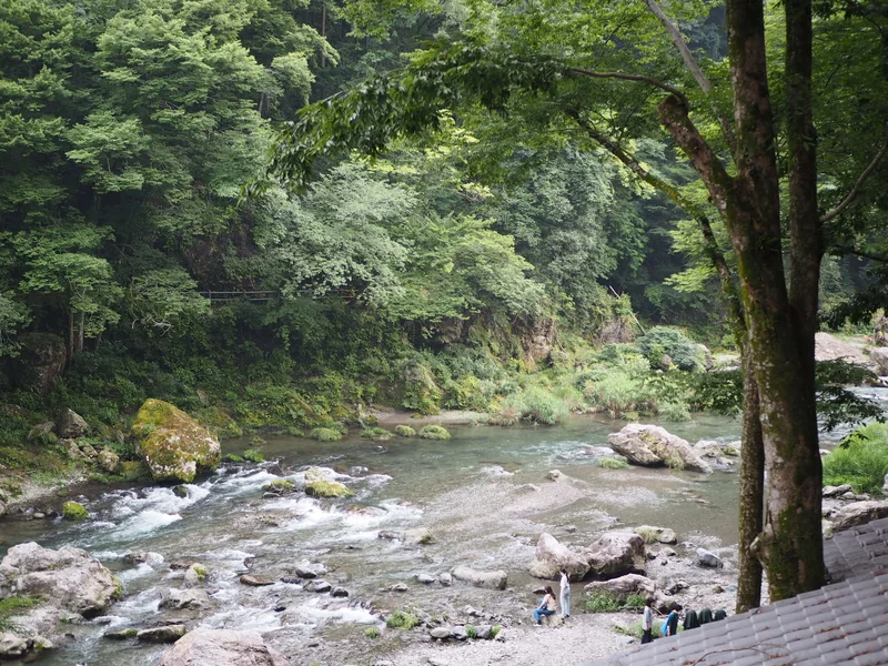 【関東日帰り旅】東京の大自然の中で味わうの画像_26