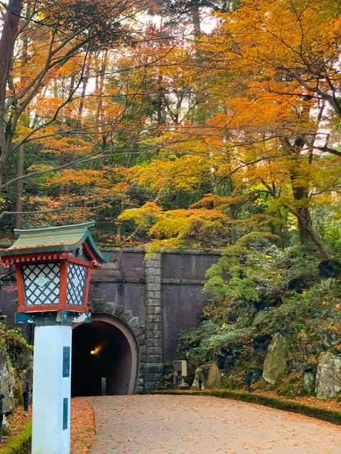 新潟観光 紅葉 桜シーズンにもおすすめ 新潟の弥彦公園 もみじ谷 でお散歩 Moreインフルエンサーズブログ More