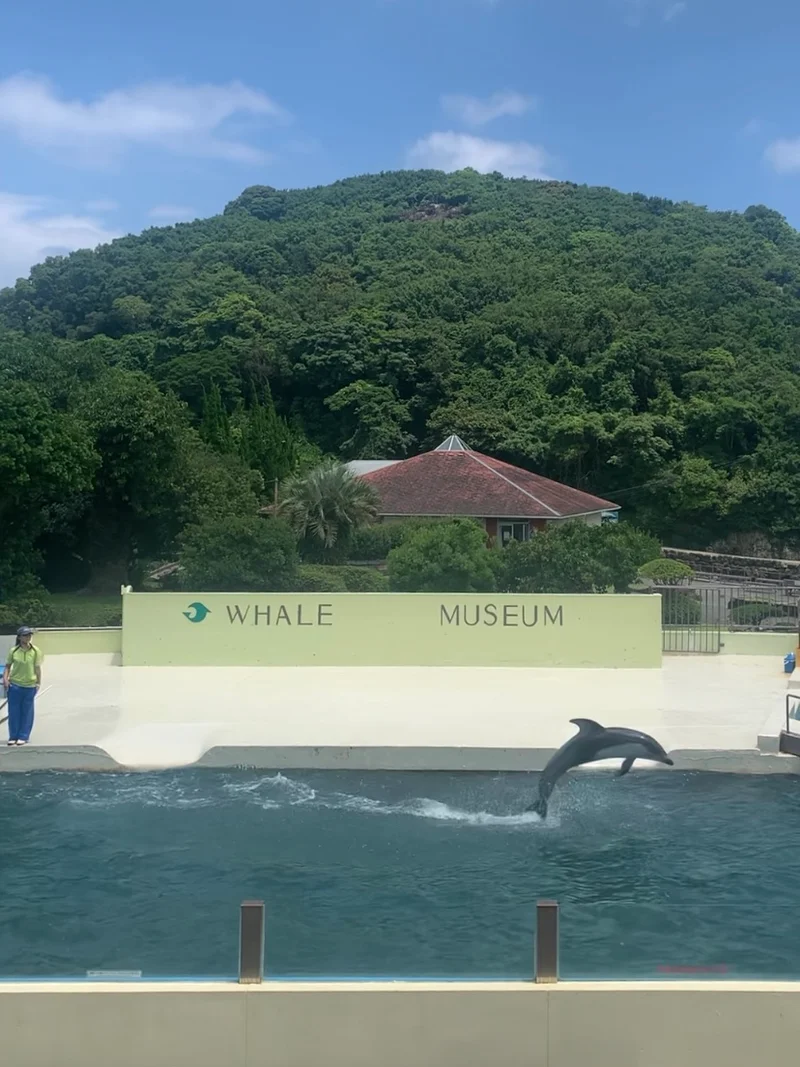 【和歌山】クジラとイルカとふれあい♡の画像_7