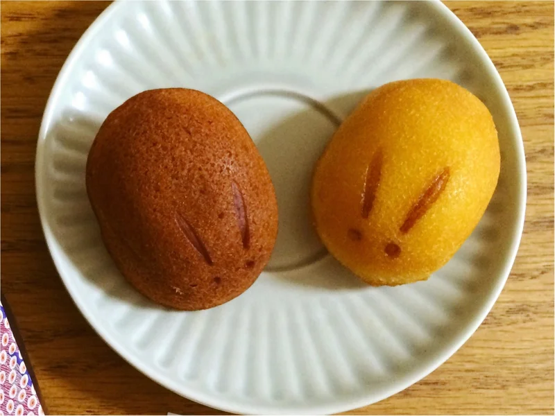 【新宿Sweets】可愛い！モチふわ美味しい！手土産に♡《白金堂》の「兎ケーキ」