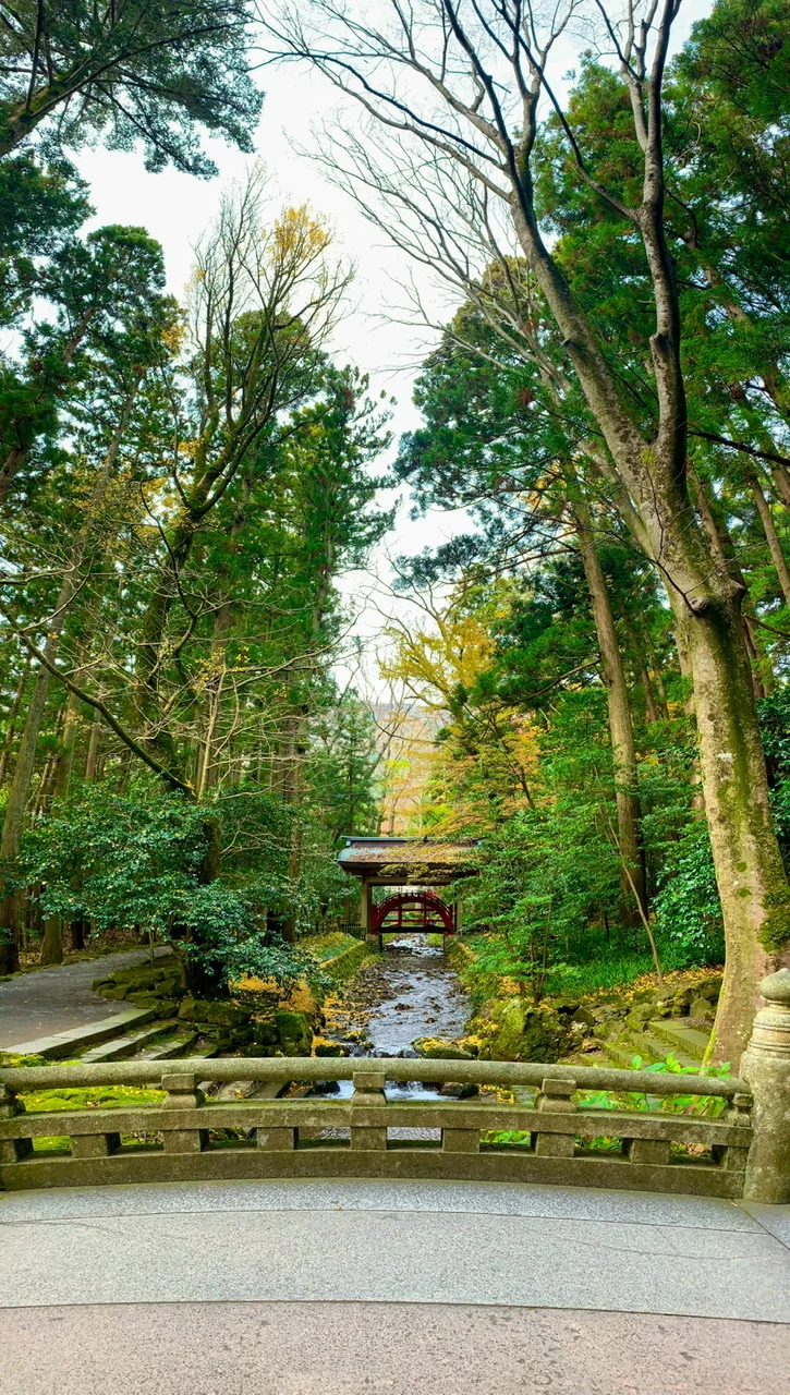 弥彦神社　彌彦神社　一の鳥居を過ぎてすぐに、石橋があり、そこから見えるのが「玉の橋」。  「玉の橋」は神様が渡るとされている橋で、とても神秘的な空間でした。　