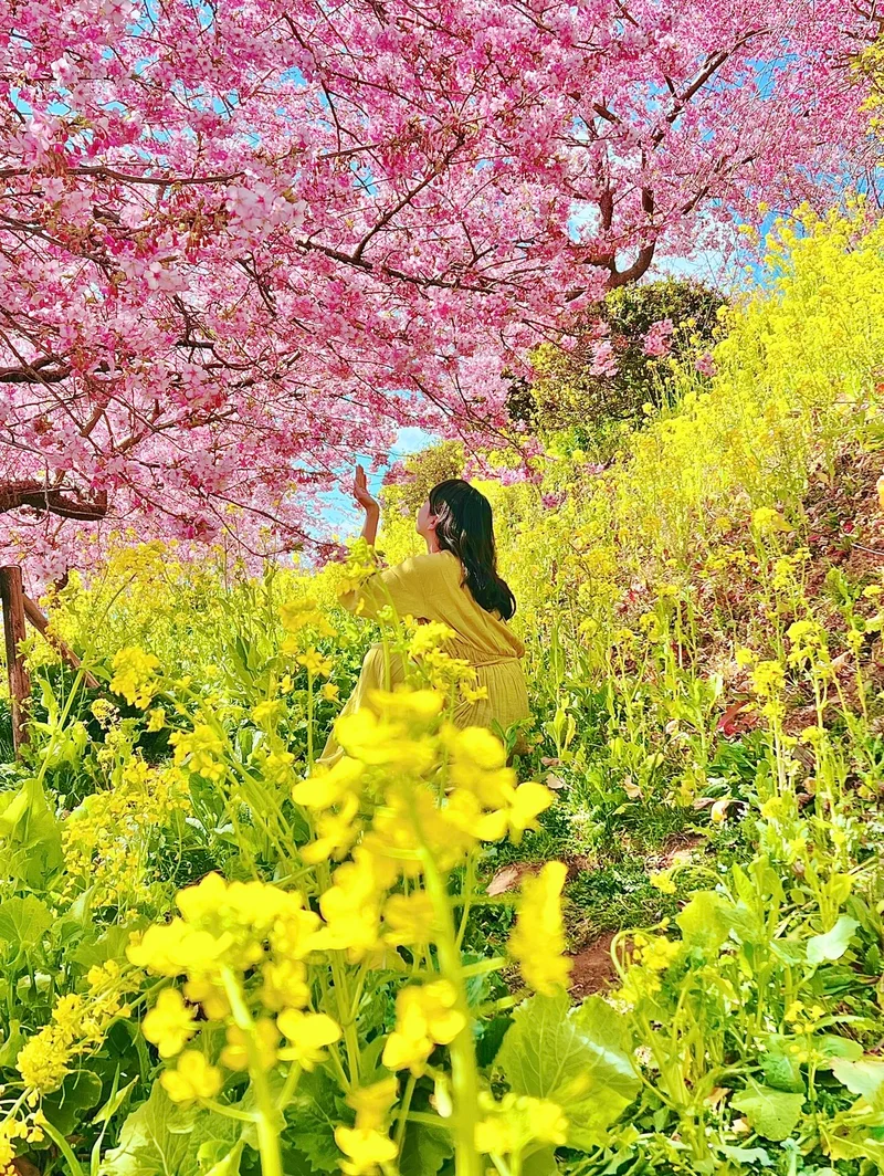 【絶対に失敗しない】春に行きたい神奈川県の画像_5