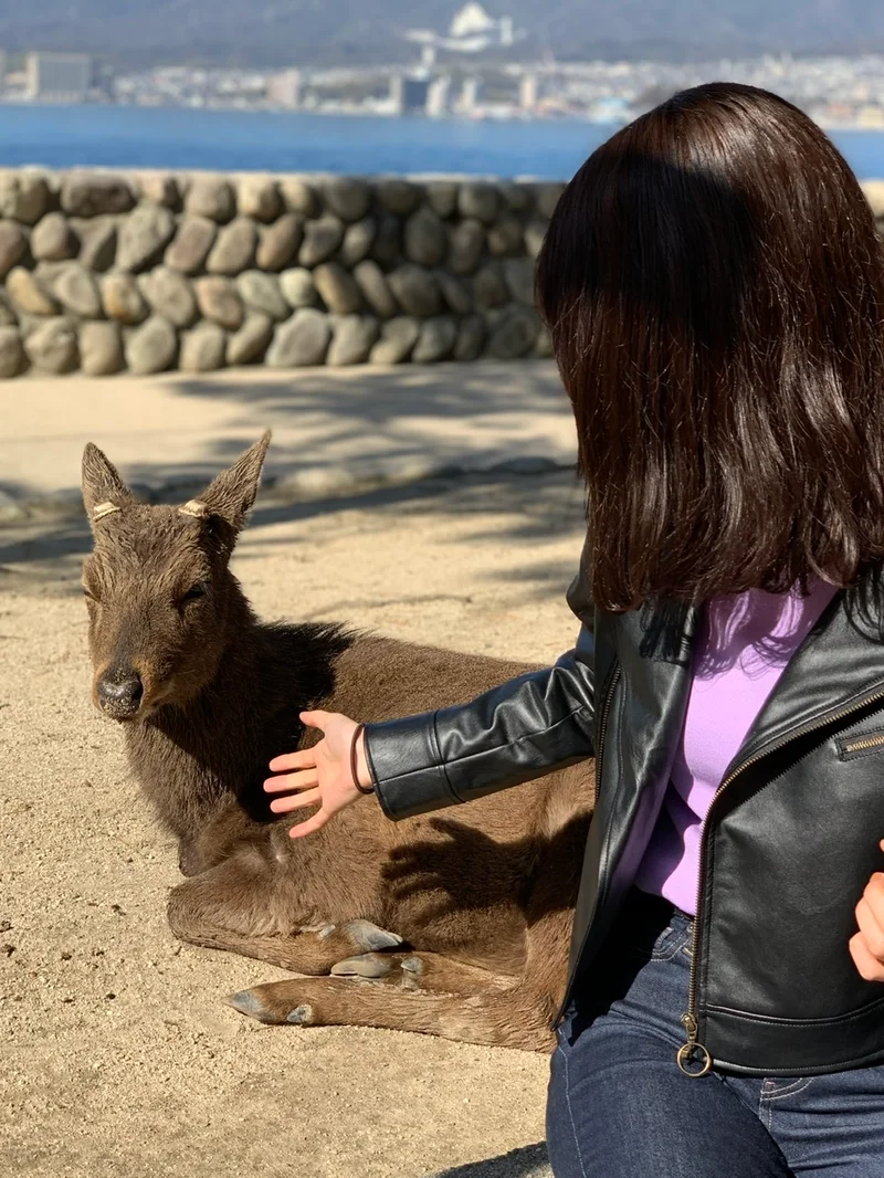 【広島】出身地紹介☀︎の画像_8