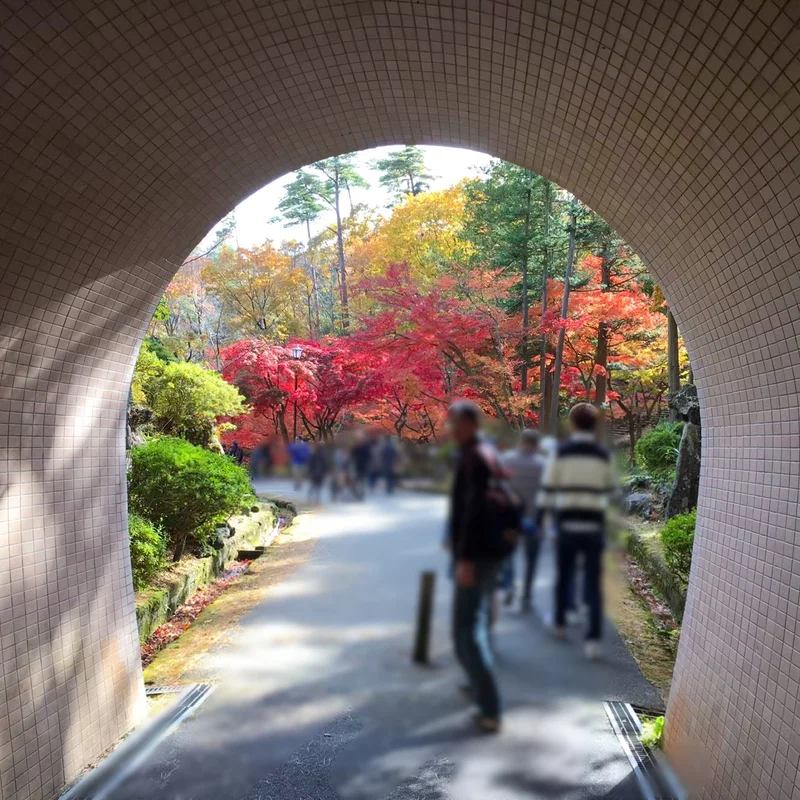 新潟観光　弥彦公園　弥彦公園もみじ谷　弥彦公園トンネル　新潟ドライブ　新潟おすすめスポット　有形文化財