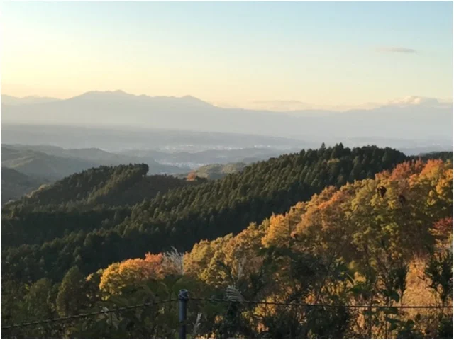 【パワースポット】栃木県の鷲子山神社へ運気アップに行ってきました♪《メディアで話題のフクロウ神社》