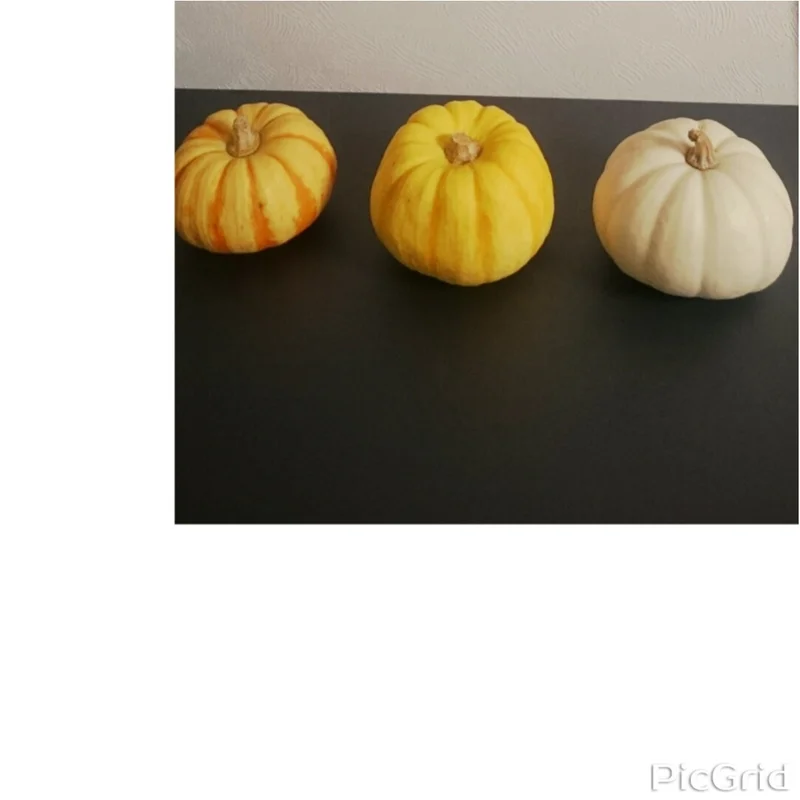 ☆かぼちゃ料理！ホワイトかぼちゃも！☆の画像_3