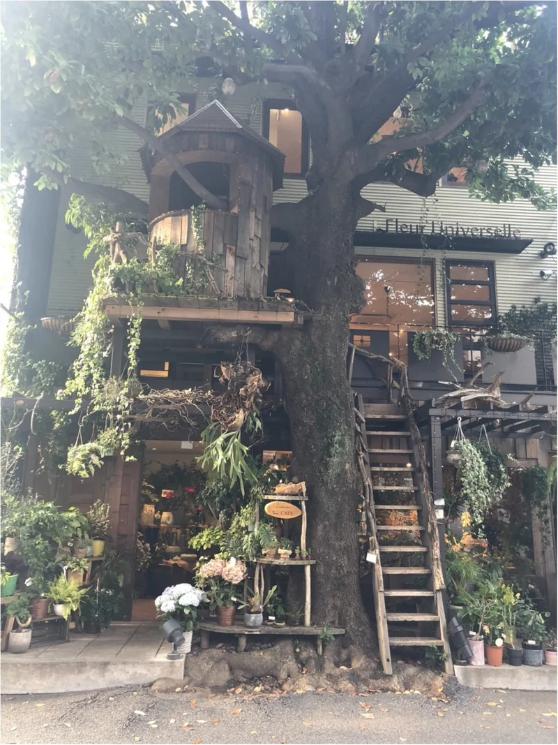 【東京】広尾にこんなお洒落なお店が？！緑溢れるツリーハウスカフェ♡