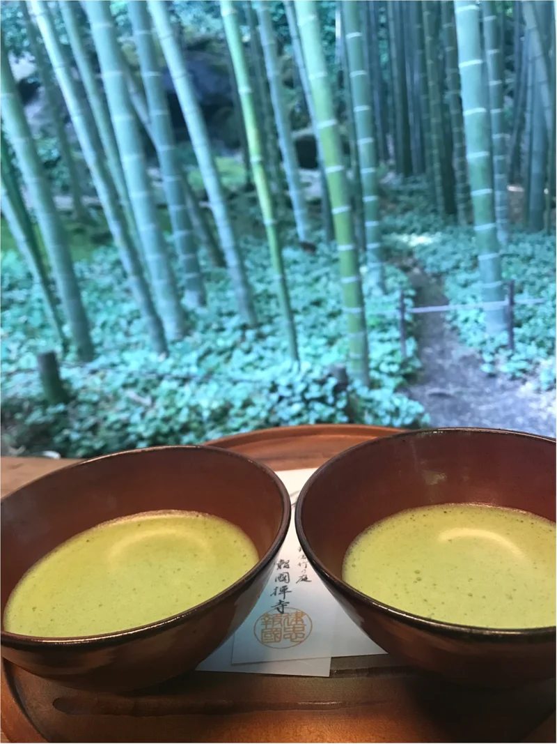 むしむしした季節にスッキリ✰鎌倉の竹林のの画像_3