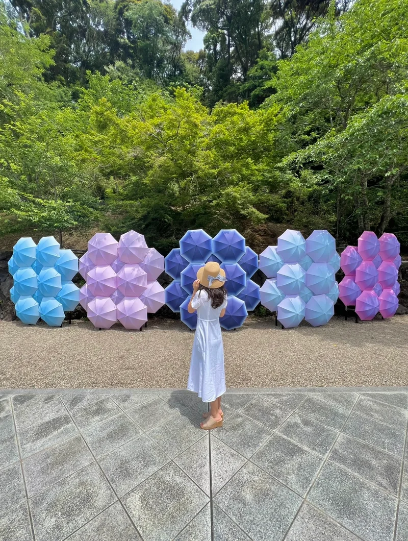 【梅雨から初夏がおすすめ】絶対に映える静の画像_3