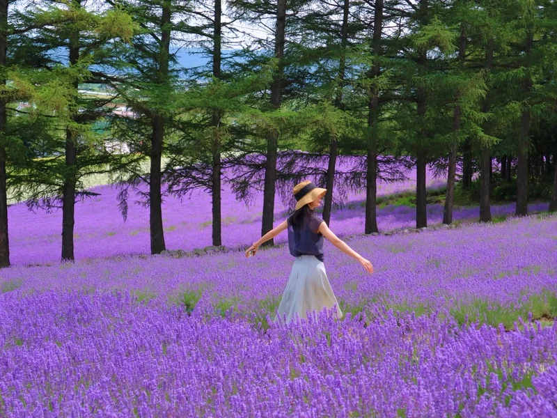 【北海道】夏休みに行きたい！富良野のラベの画像_2