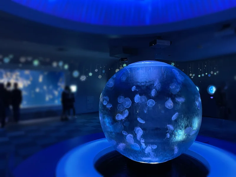 新江ノ島水族館のクラゲのスノードーム