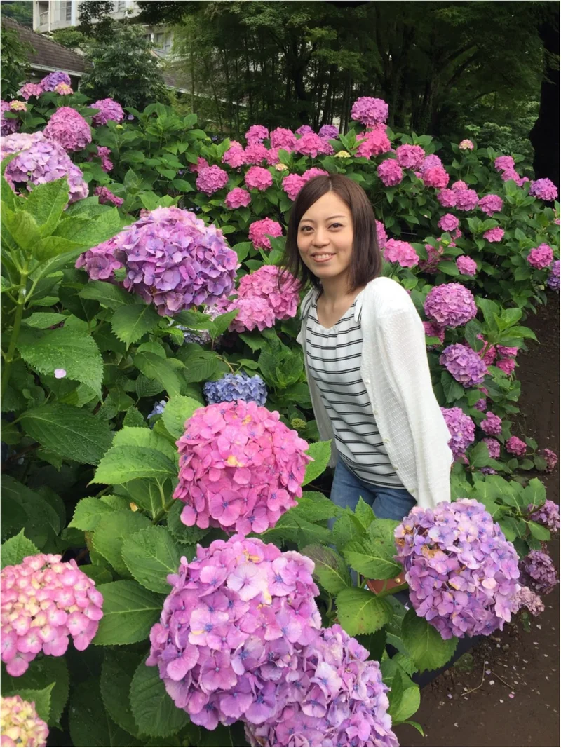 【箱根旅】綺麗すぎる紫陽花に思わず途中下の画像_3