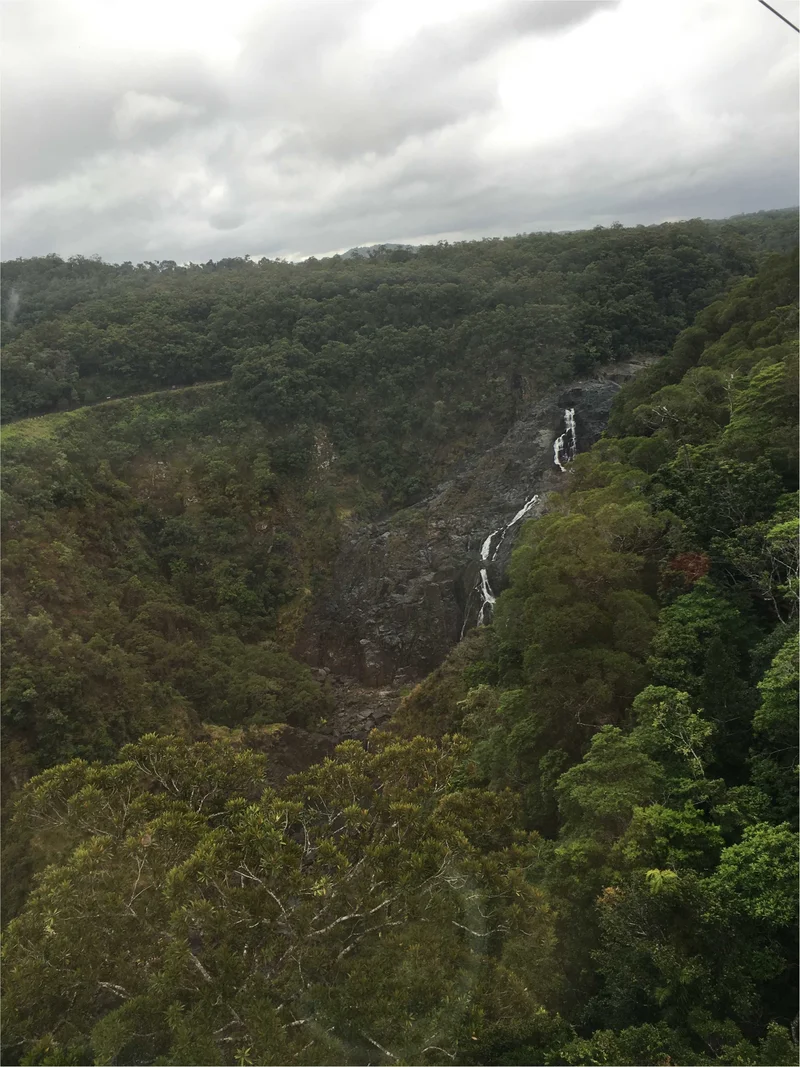 Cairns Australia♡夏休みの画像_6