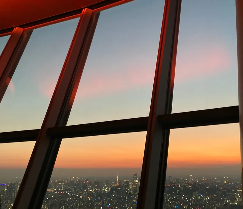 日が沈み、東京スカイツリーから東京タワーが綺麗に見えている写真