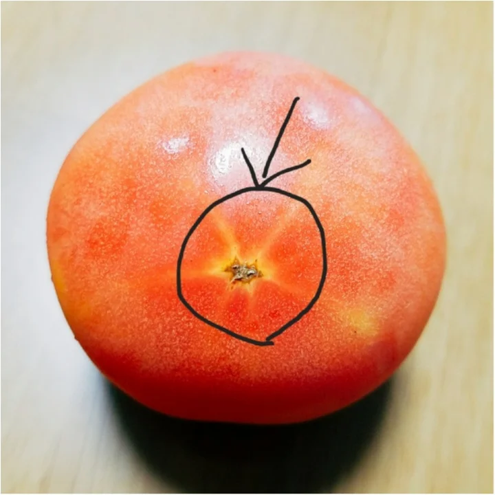 トマト、ナス、オクラ……夏野菜のおいしいの画像_2