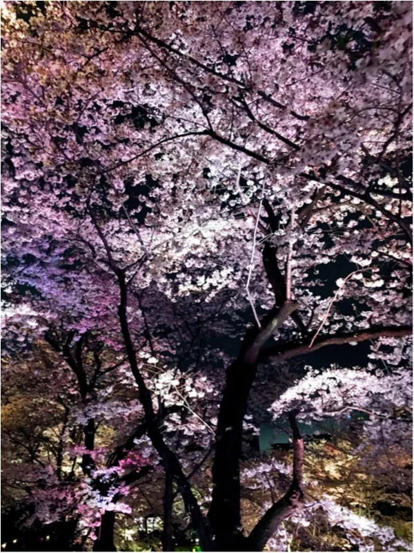 【CRAFT SAKE WEEK開催中】まだ間に合う！！都心で桜酒！！byじゅなrainbow*