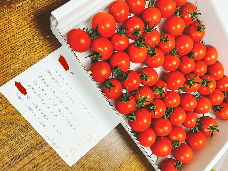 トマトに添えられたメッセージカード