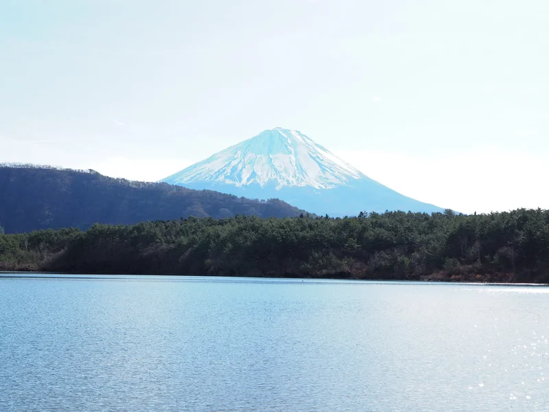 【#河口湖合宿】富士山の目の前のペンショの画像_5