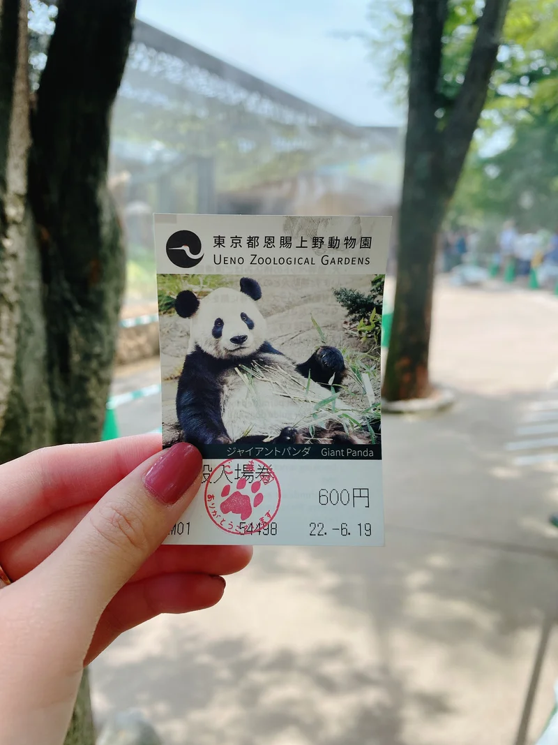 上野動物園　チケット　パンダ