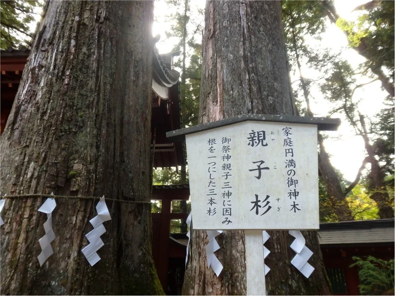 【知らなかった！】日本一楽しめる神社へ潜の画像_12