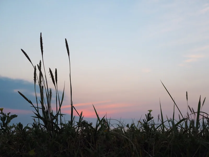 【おすすめの宿♡】千葉県 南房総「ちくらの画像_14