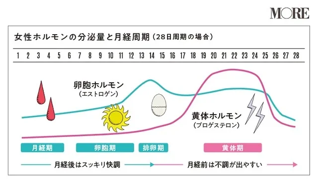 【妊活のファーストステップ】自分の生理周期を把握、ホルモンを整える、葉酸をとる PhotoGallery