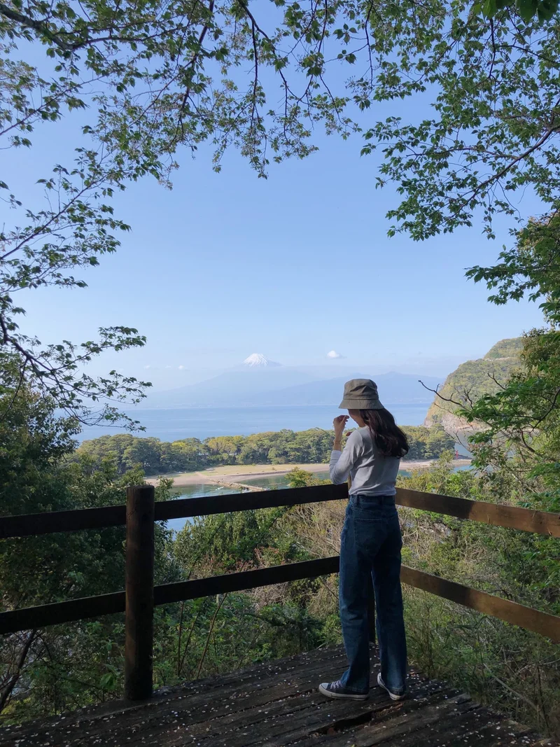 健康の森から眺めた富士山