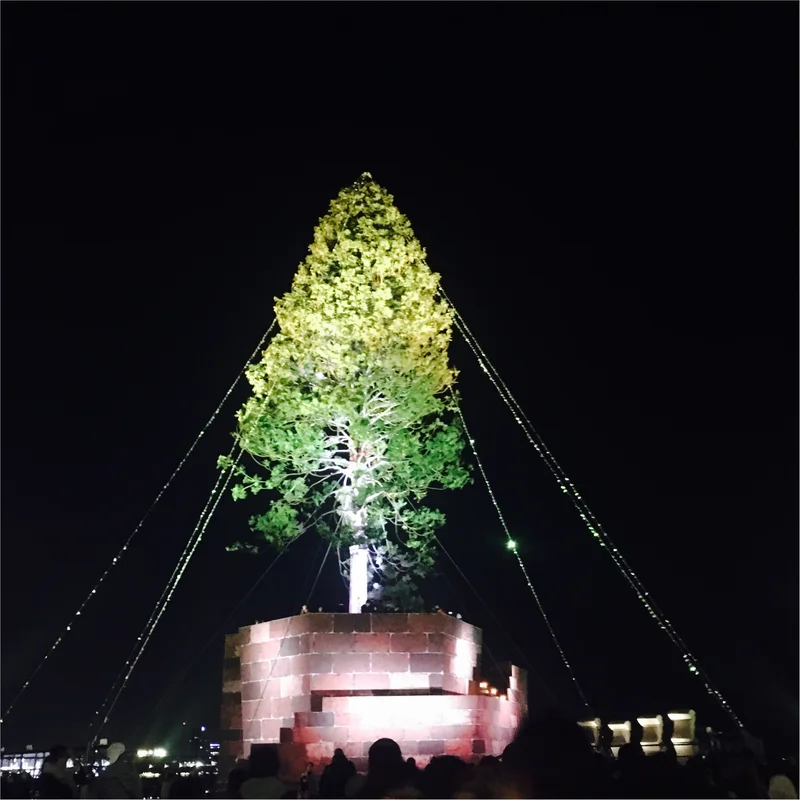 【神戸】で≪世界一高いクリスマスツリー≫が見れちゃうスポット！とってもオススメです！