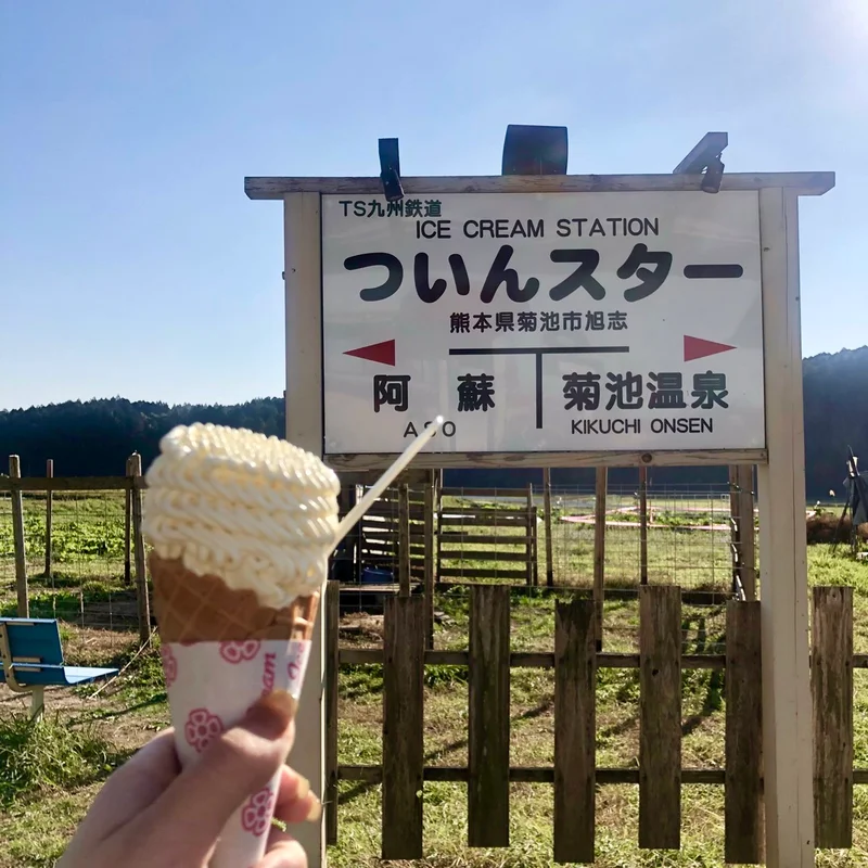 熊本の観光名所ついんスター