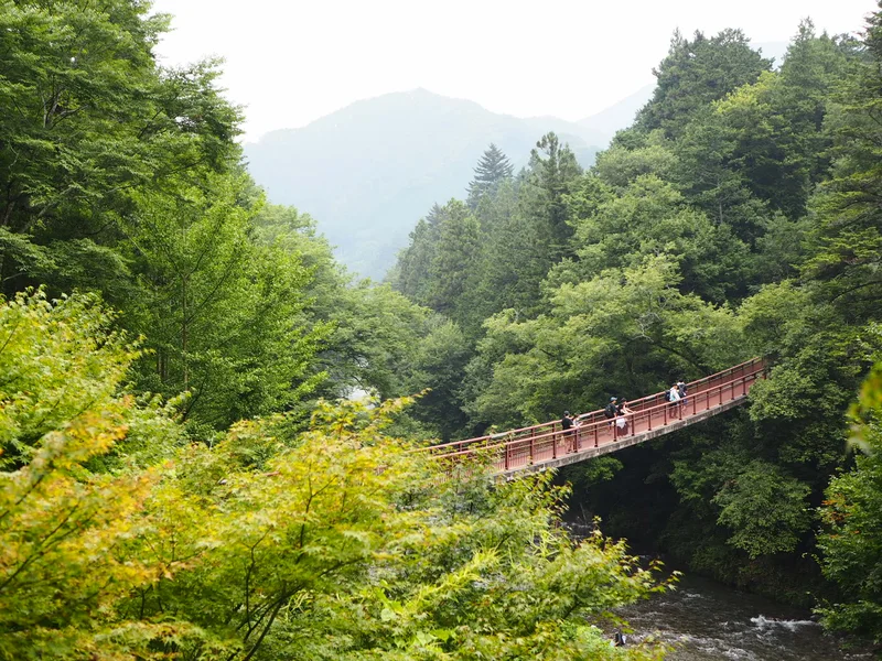 【関東日帰り旅】東京の大自然の中で味わうの画像_30