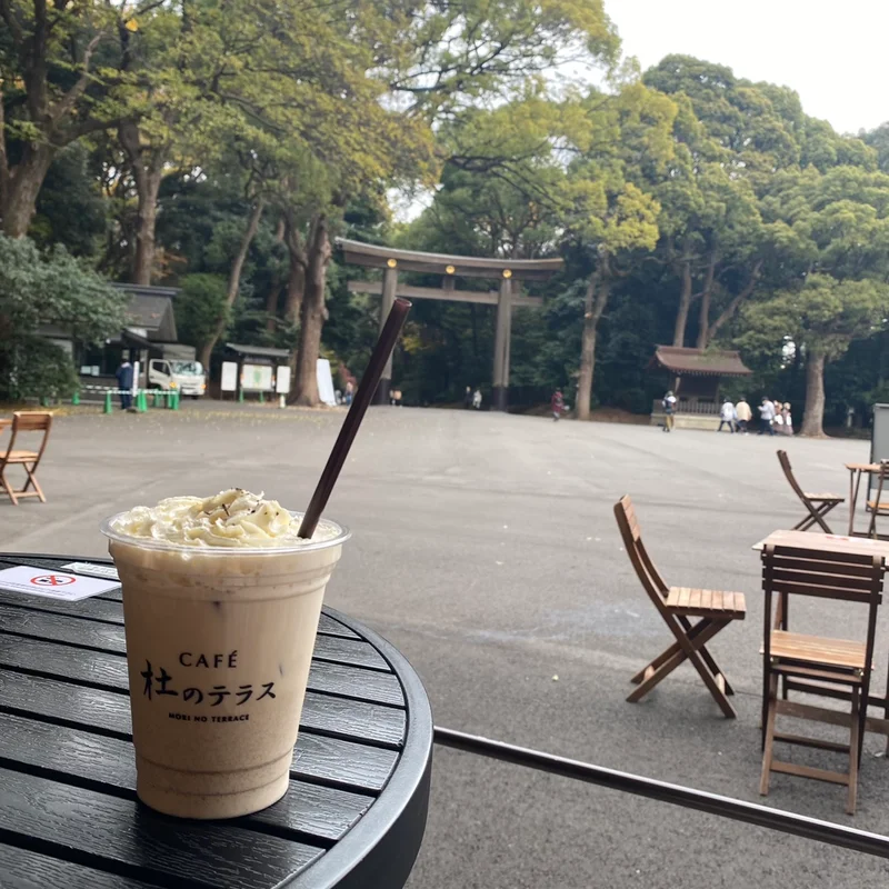 【神社×カフェ】癒され度抜群！目の前は鳥の画像_3