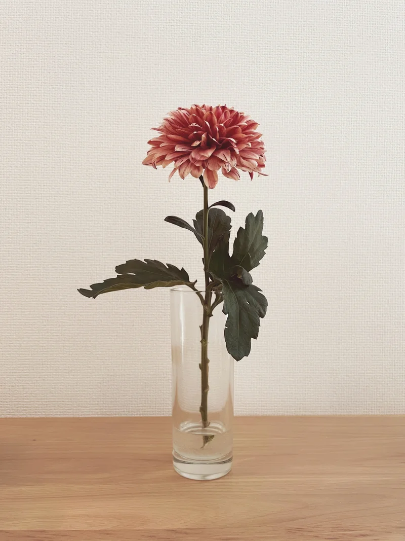 【おうち時間】お部屋に花を取り入れて癒しの画像_3
