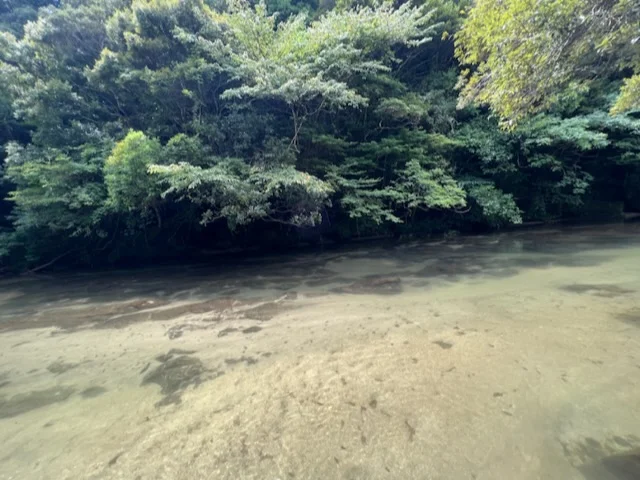 鹿児島旅行♡行った所、食べたもの♪の画像_4