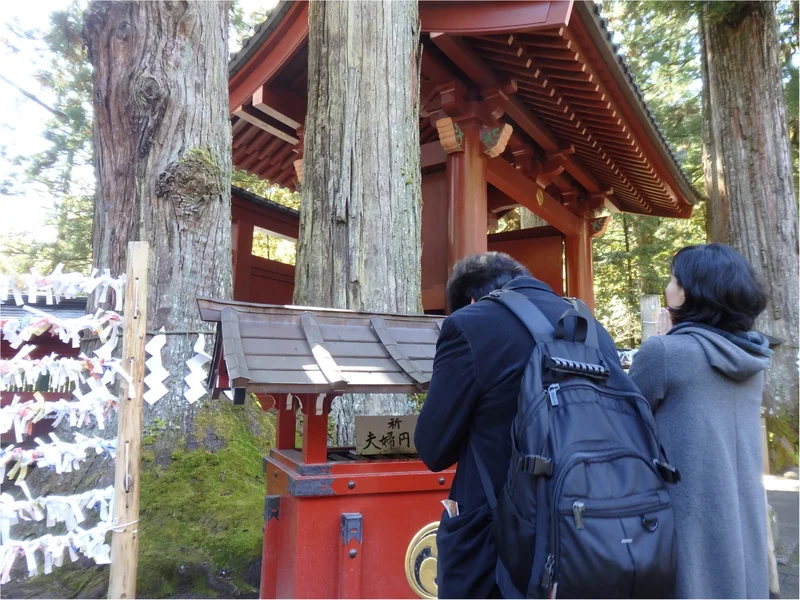 【知らなかった！】日本一楽しめる神社へ潜の画像_11