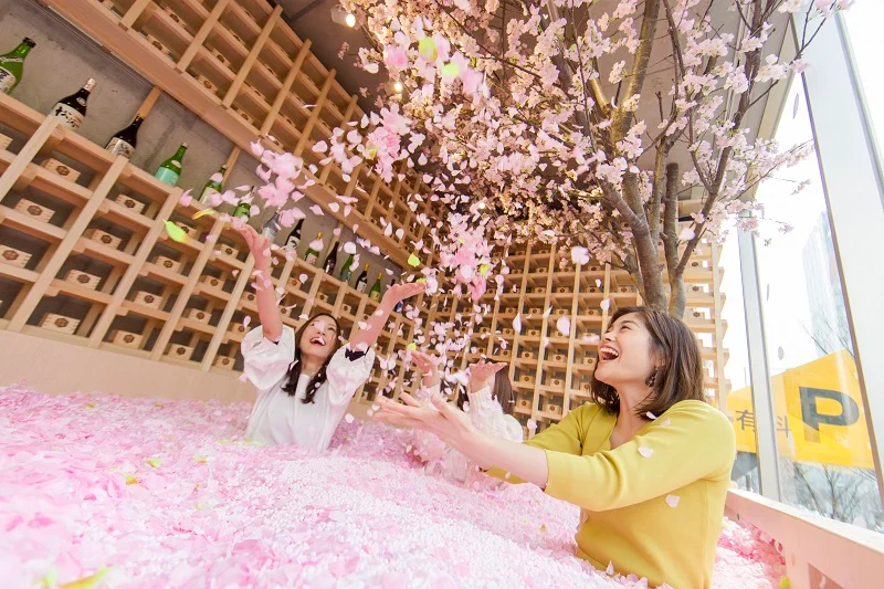 花びら120万枚の「桜プール」の中で乾杯の画像_1