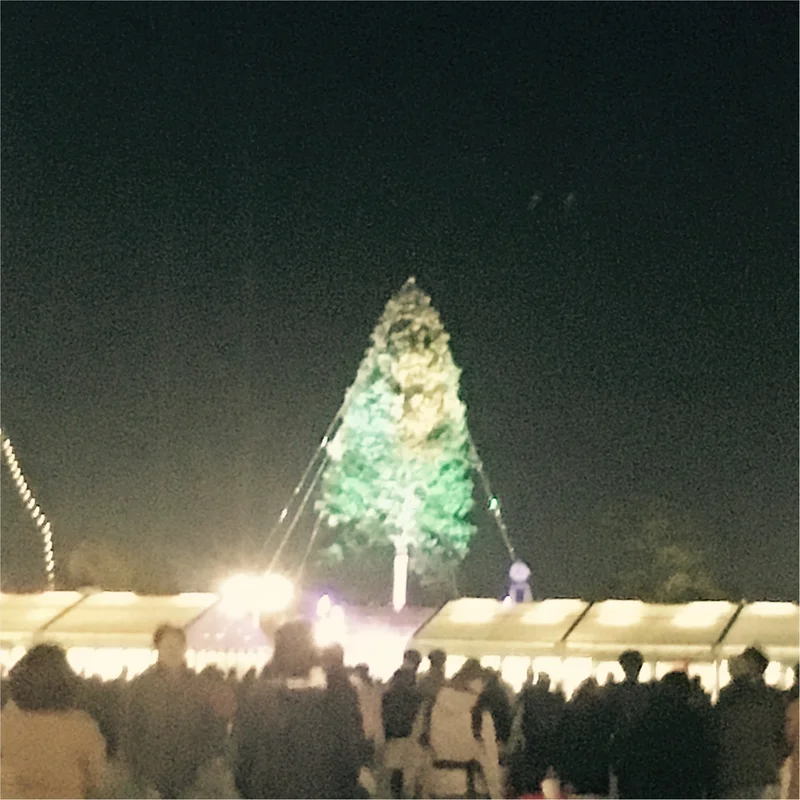 【神戸】で≪世界一高いクリスマスツリー≫の画像_3