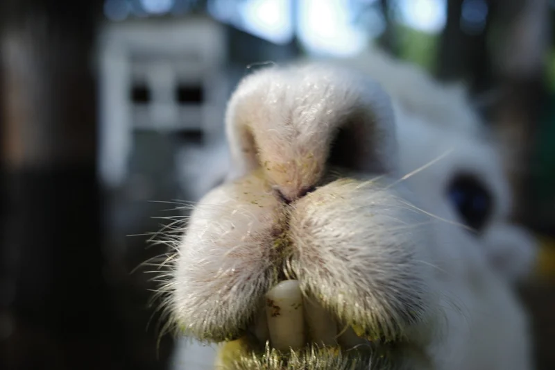 ヘビを首に巻く？！北海道ノースサファリサの画像_6