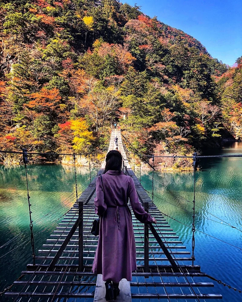 【#静岡】《夢の吊り橋×秋･紅葉》美しすの画像_8