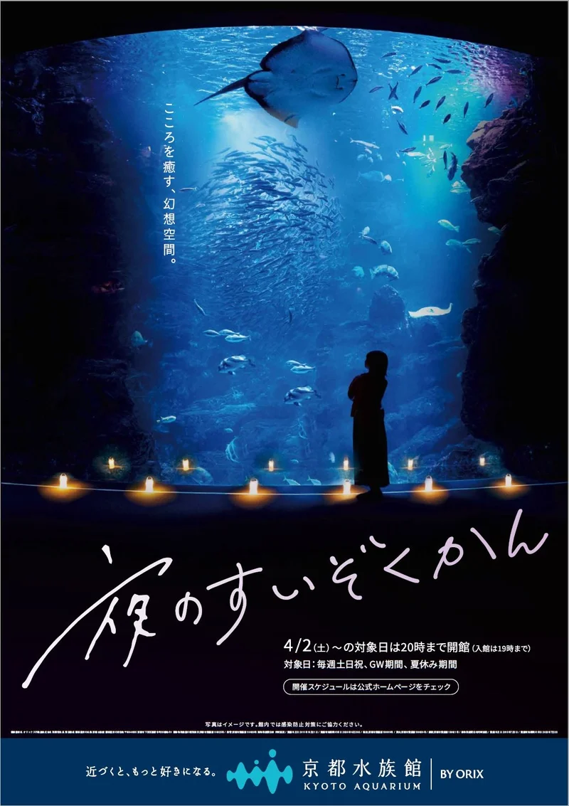 京都水族館のイベント『夜のすいぞくかん』のフライヤー