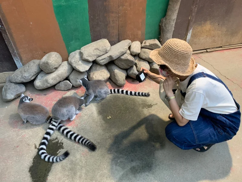 ヘビを首に巻く？！北海道ノースサファリサの画像_9