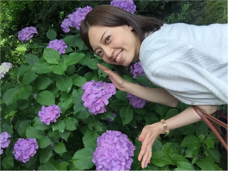 【箱根旅】綺麗すぎる紫陽花に思わず途中下の画像_4