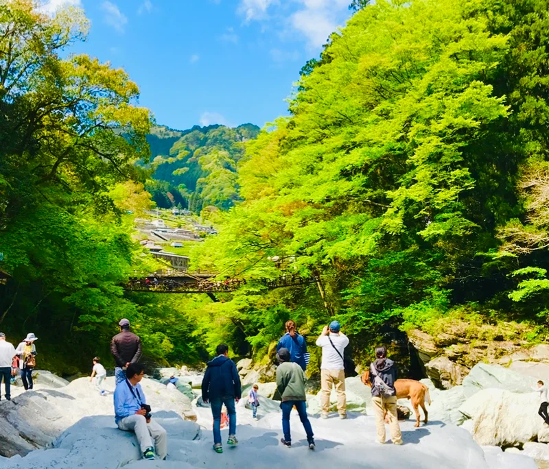 【女子旅におすすめ】徳島県に来たら外せなの画像_7