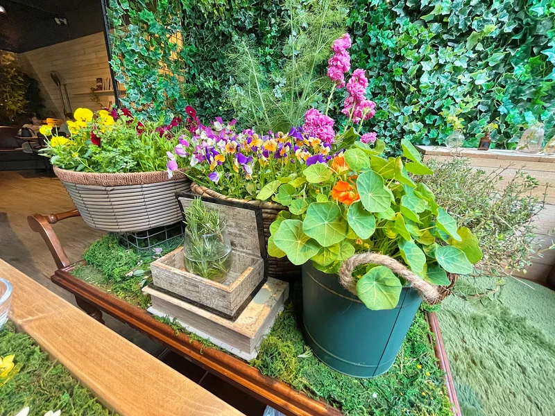 埼玉・熊谷《おふろcafe ハレニワの湯》の花やハーブを摘む体験型アフタヌーンティー《食べるフラワーガーデン》