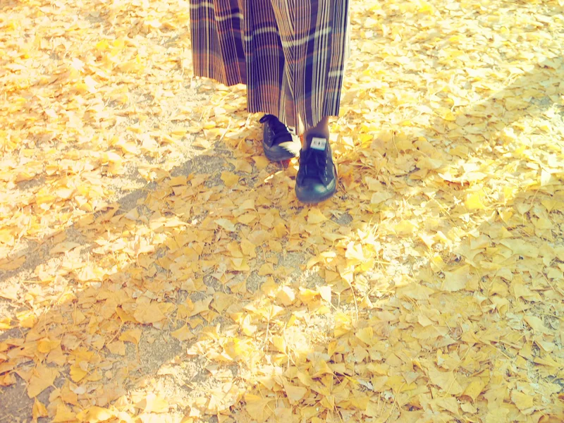 【秋の昭和記念公園】銀杏並木と紅葉サイクリング♩