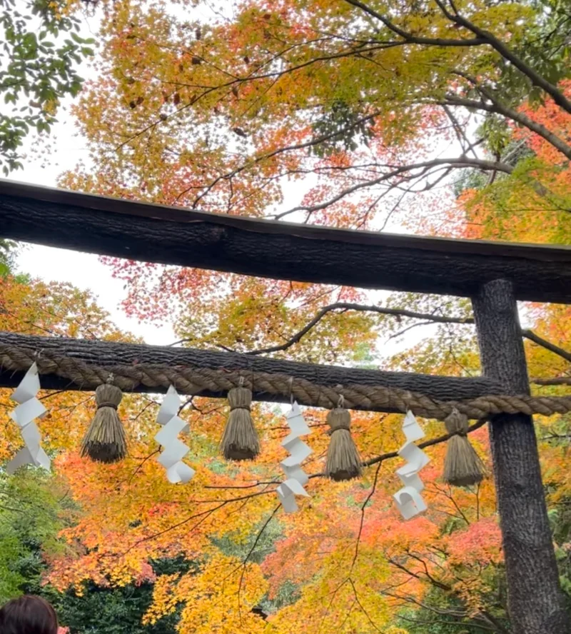 【京都紅葉】嵐山のオススメ紅葉スポット3の画像_1